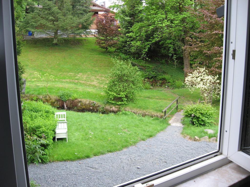 Ibu * Altenau (Lower-Saxony)